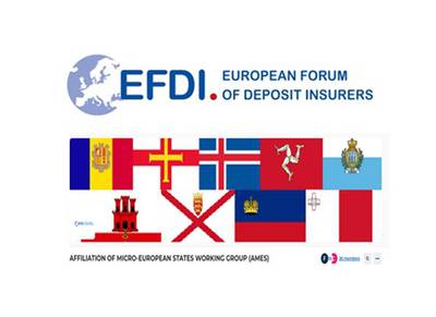 Participació de representants del FAGADI a la 25ª Reunió de l’AMES, un grup de treball de l’EFDI